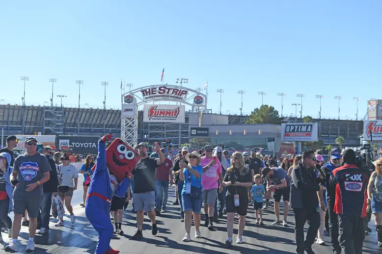Seal Master Track Walk