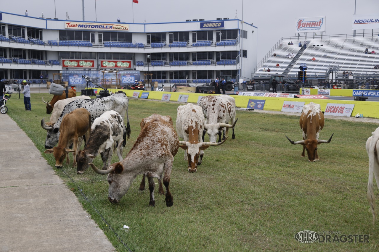 Texas NHRA FallNationals Sunday photo gallery NHRA