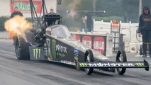 Brittany Force