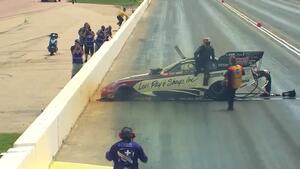 2016 Best of the Wild Rides